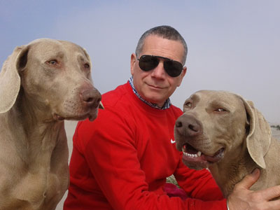 Allevamento cuccioli di Bracco di Weimaraner